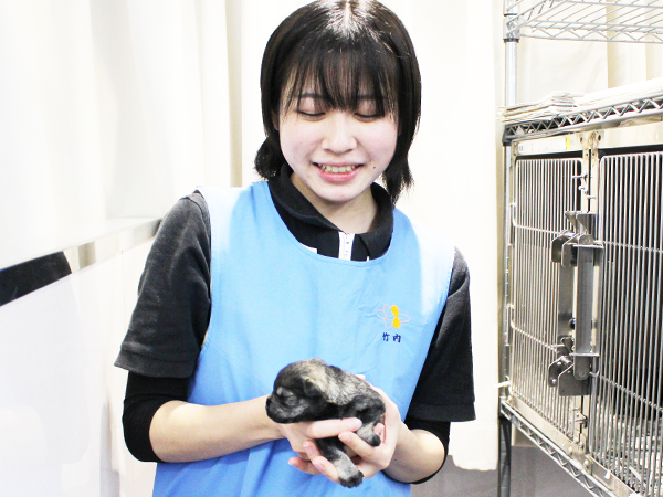子犬と母犬は２年生がお世話します！